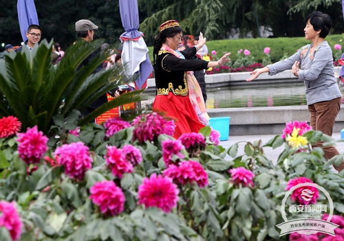 兴庆宫公园秋色满园 大丽花与菊花盛绽，花卉种植展匠心